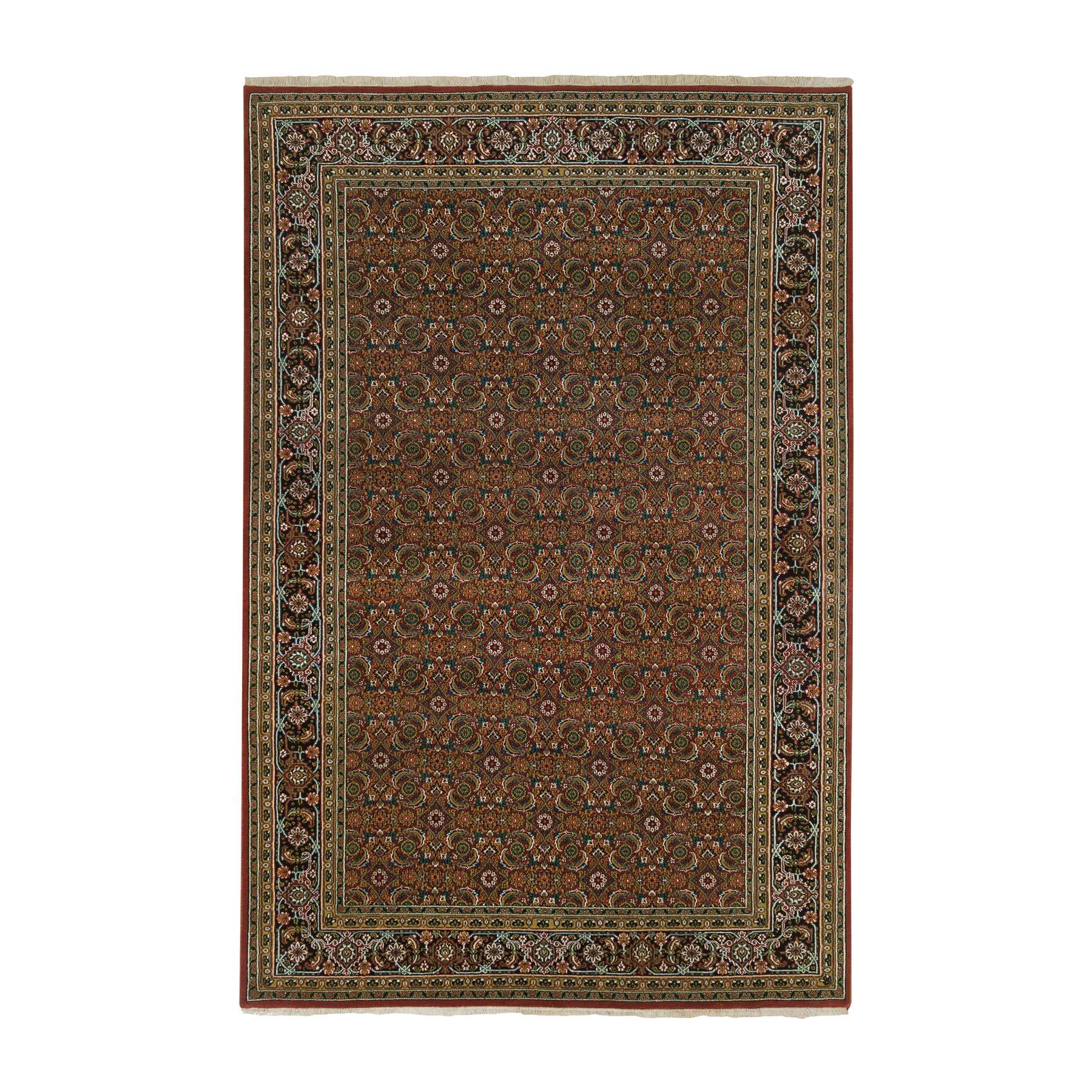 Traditional Rugs LUV585981